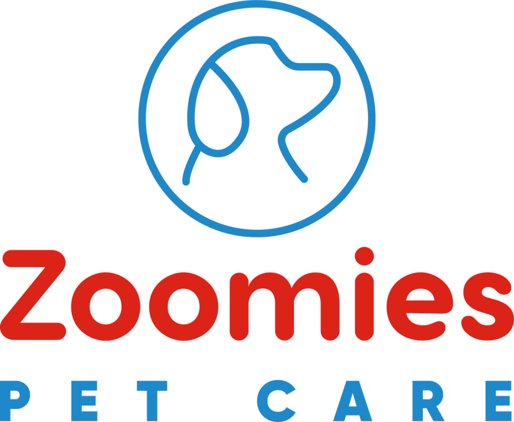 [AULA 6] Deita Aprenda mais um comando Zoomies Pet Care